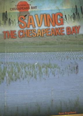 Book cover for Saving the Chesapeake Bay