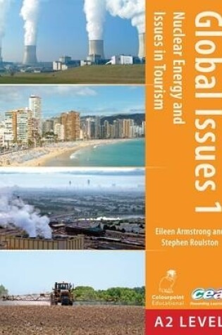 Cover of Nuclear Energy and Issues in Tourism