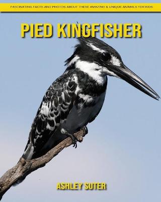 Book cover for Pied Kingfisher