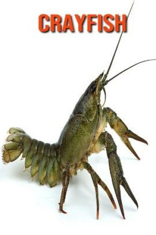 Cover of Crayfish