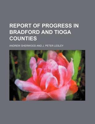 Book cover for Report of Progress in Bradford and Tioga Counties