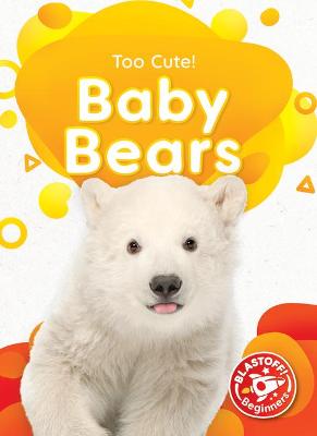 Book cover for Baby Bears