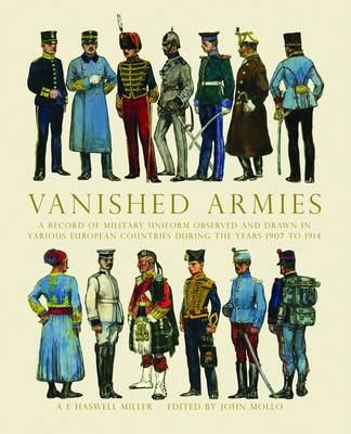 Book cover for Vanished Armies