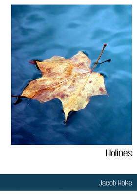 Book cover for Holines