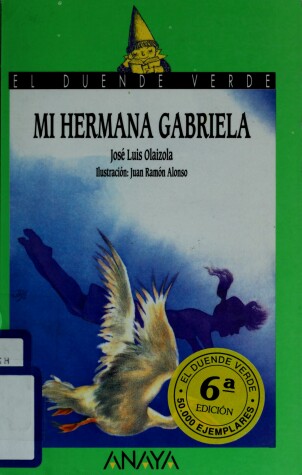 Book cover for My Hermana Gabriela