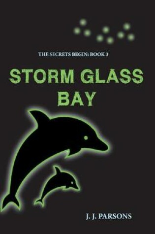 Cover of Storm Glass Bay