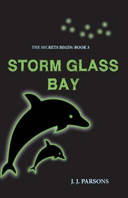 Book cover for Storm Glass Bay