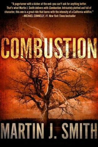 Cover of Combustion