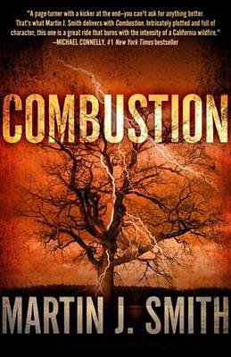 Book cover for Combustion