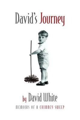 Book cover for David's Journey