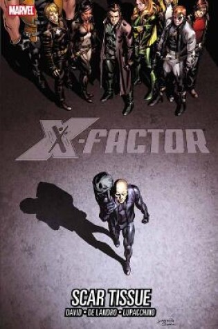 Cover of X-factor Vol. 12