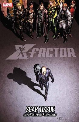 Book cover for X-factor Vol. 12