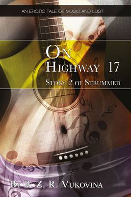 Book cover for On Highway 17