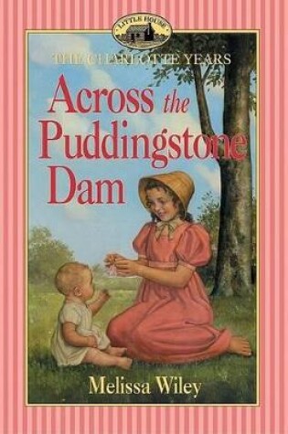 Cover of Across the Pudingstone Dam