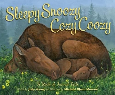 Book cover for Sleepy Snoozy Cozy Coozy
