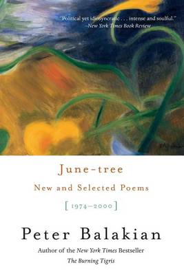 Book cover for June Tree