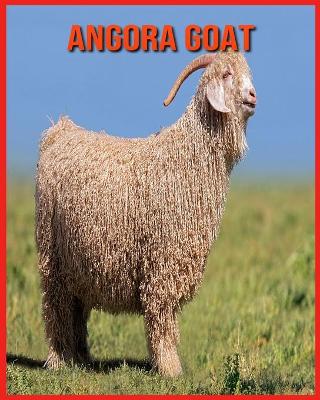 Book cover for Angora Goat