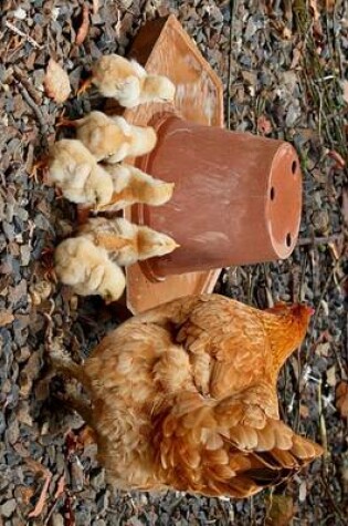 Cover of A Mother Hen and Her Chicks, Birds of the World