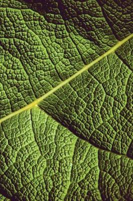 Cover of Leaf Veins Journal