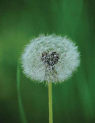 Book cover for Angel Dandelion Notebook 8.5" x 11" 150 Lined Pages