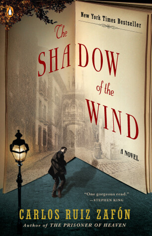 Book cover for The Shadow of the Wind