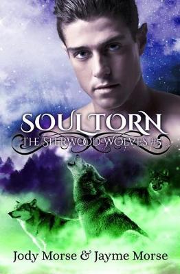 Book cover for Soul Torn