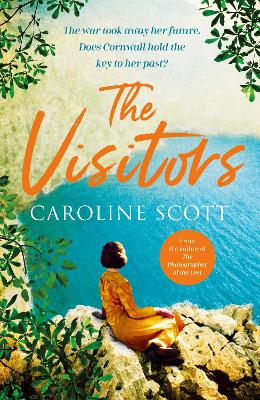 Book cover for The Visitors