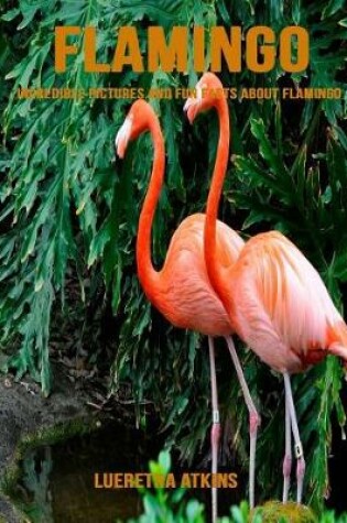 Cover of Flamingo