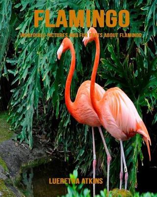 Book cover for Flamingo