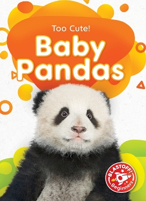 Book cover for Baby Pandas