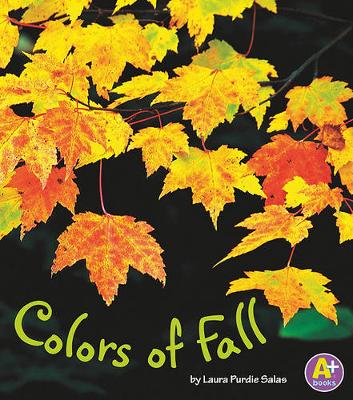 Cover of Colors of Fall