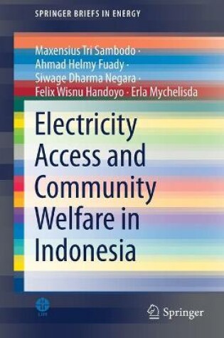 Cover of Electricity Access and Community Welfare in Indonesia
