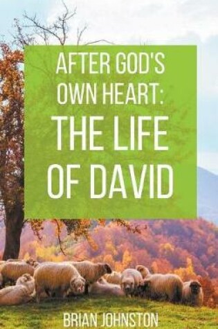 Cover of After God's Own Heart