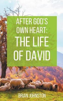 Book cover for After God's Own Heart