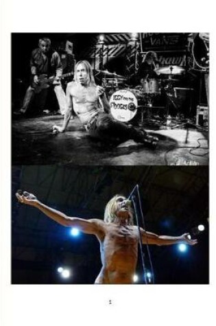 Cover of Iggy and the Stooges