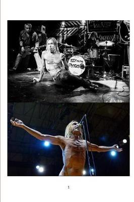 Book cover for Iggy and the Stooges