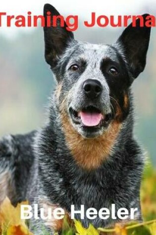 Cover of Training Journal Blue Heeler