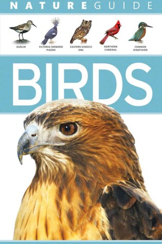 Cover of Nature Guide: Birds