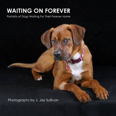 Cover of Waiting On Forever