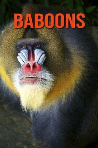 Cover of Baboons