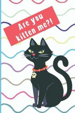 Cover of Are You Kitten Me?!