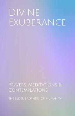 Book cover for Divine Exuberance