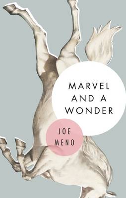 Book cover for Marvel and a Wonder