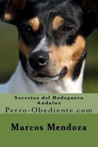 Cover of Secretos del Bodeguero Andaluz