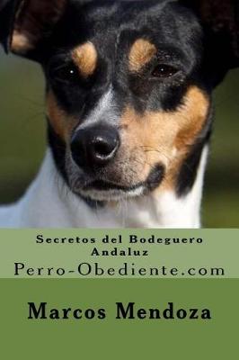 Book cover for Secretos del Bodeguero Andaluz