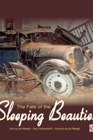 Cover of Fate of the Sleeping Beauties, the