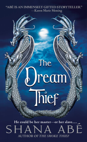 The Dream Thief by Shana Abe