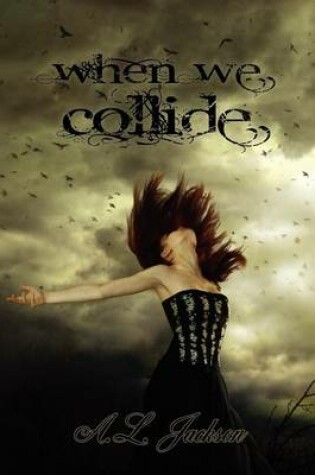 Cover of When We Collide