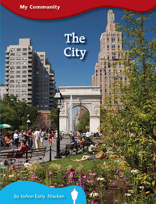Book cover for The City