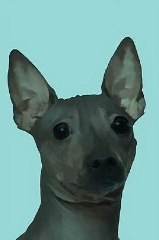 Cover of American Hairless Terrier